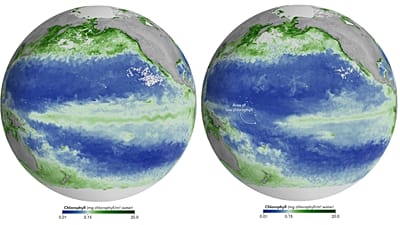 Nötr koşullar altındaki Haziran 2025 (solda) ve El Niño koşullarının yaşandığı Haziran 2026 (sağda).