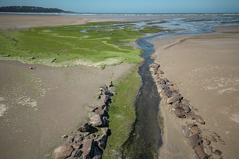 Des algues vertes se déversent du Yar dans la mer, sur la plage du Yar à Plestin-les-Grèves.