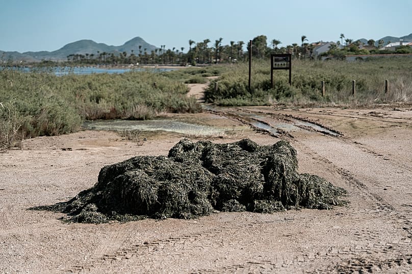 Mar Menor