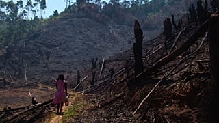 Madagascar : le poivre sauvage suscite le débat parmi les exportateurs