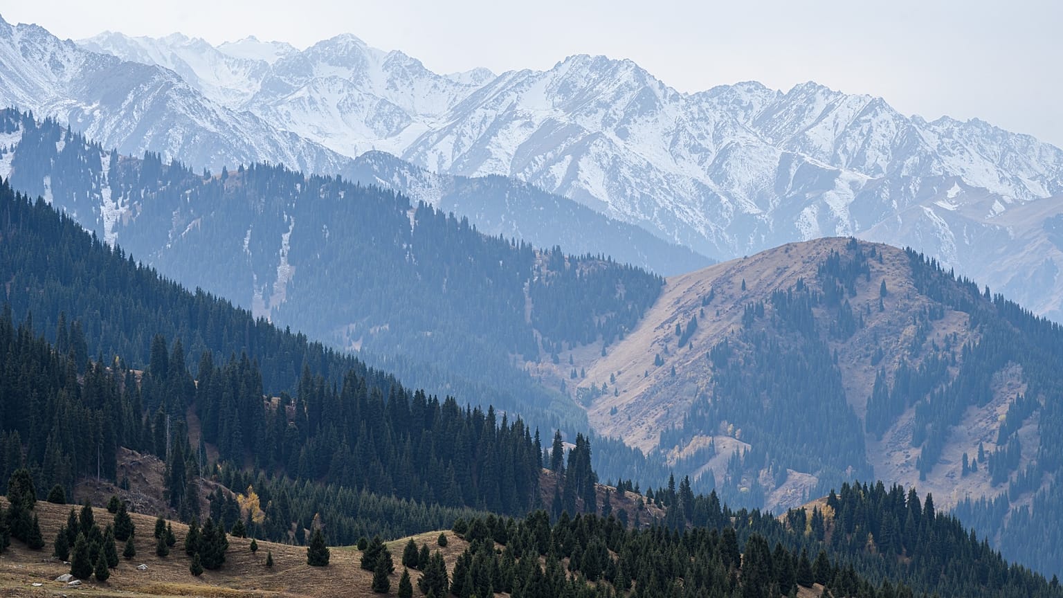 Montes Trans-Ili Alatau