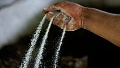 Cocaine being poured from a person's hand. FILE