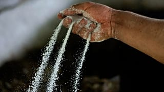 Cocaine being poured from a person's hand. FILE