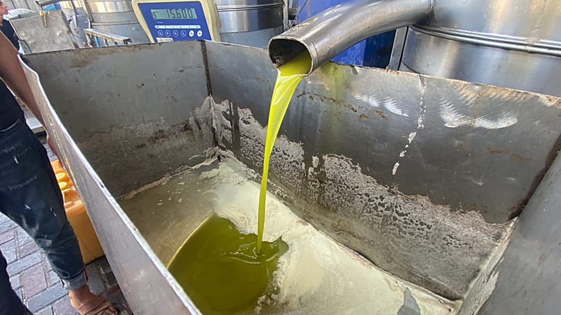 عملية استخراج زيت الزيتون من معصرة في قطاع غزة