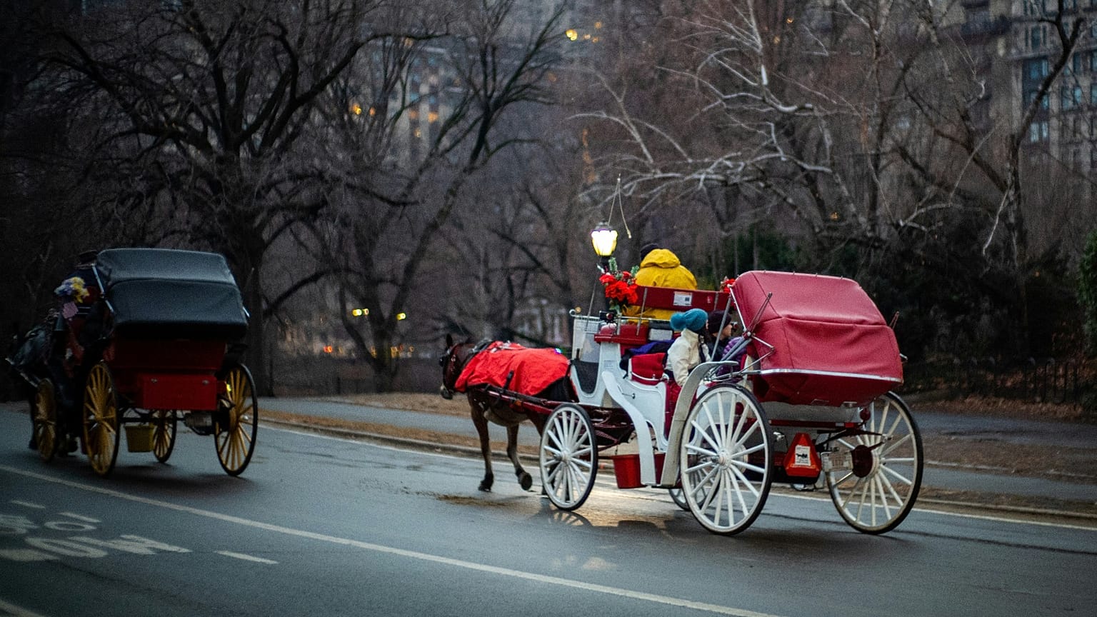 Horse-drawn carriages have been a Central Park tradition since the 1800s 