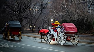 Dorożki konne są tradycją Central Parku od XIX wieku