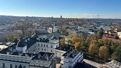 You can't beat the views from Vilnius' Gediminas Tower