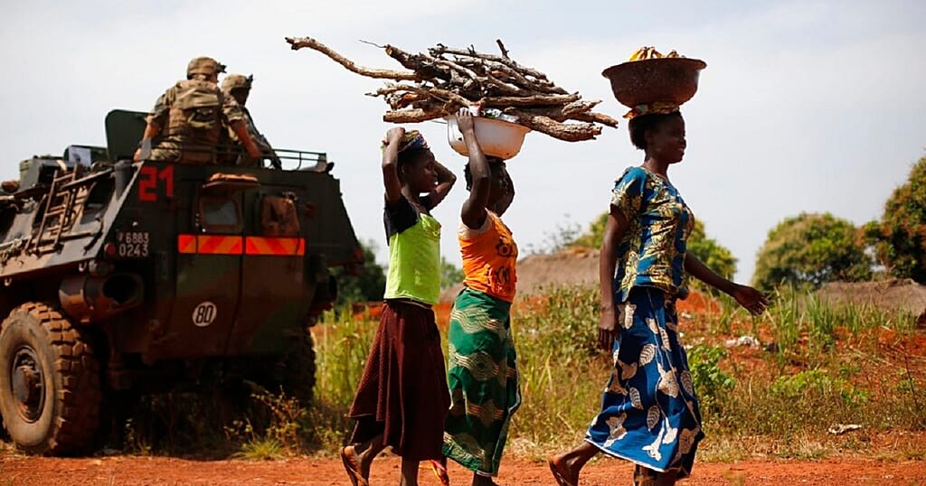 Central African Republic: Deforestation decimates fish populations
