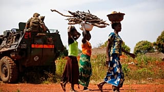 République centrafricaine : la déforestation décime la population de poissons