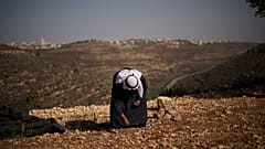 الفلسطيني كمال حلوم يجمع الزيتون من الأرض وهو يقف على تلة بالقرب من الطريق السريع 60 أثناء حصاد الزيتون في قرية المزرعة الشرقية بالضفة الغربية، الجمعة 23 أكتوبر 2026.