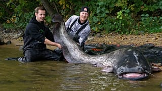 Oliver Schäfer und Kevin Cremers haben einen fast drei Meter langen Wels gefangen. 