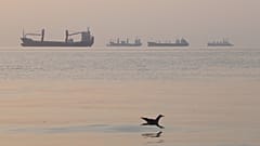 FILE. A bird flies low over the water as cargo ships lie at anchor in the Strait of Hormuz off Bandar Abbas, Iran, 24 Oct. 2026