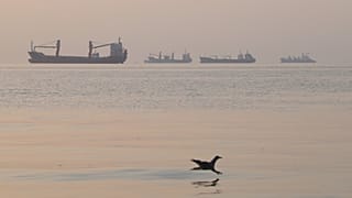 FILE. A bird flies low over the water as cargo ships lie at anchor in the Strait of Hormuz off Bandar Abbas, Iran, 24 Oct. 2026