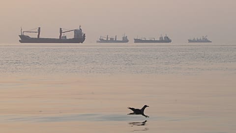 FILE. A bird flies low over the water as cargo ships lie at anchor in the Strait of Hormuz off Bandar Abbas, Iran, 24 Oct. 2026