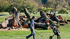 Alberi abbattuti all'East Potomac Golf Links, a Washington, per fare posto al nuovo campo di golf voluto da Trump