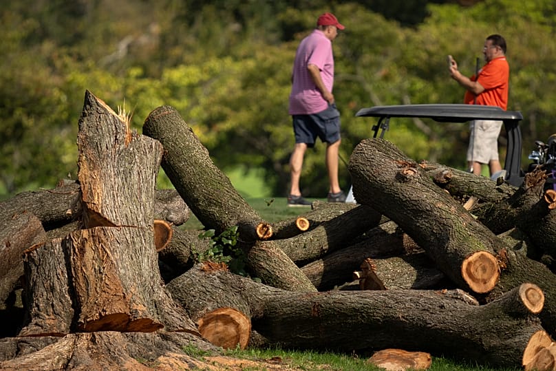 I golfisti vicino ai tronchi tagliati all'East Potomac Golf Links a Washington, lunedì 12 ottobre 2026