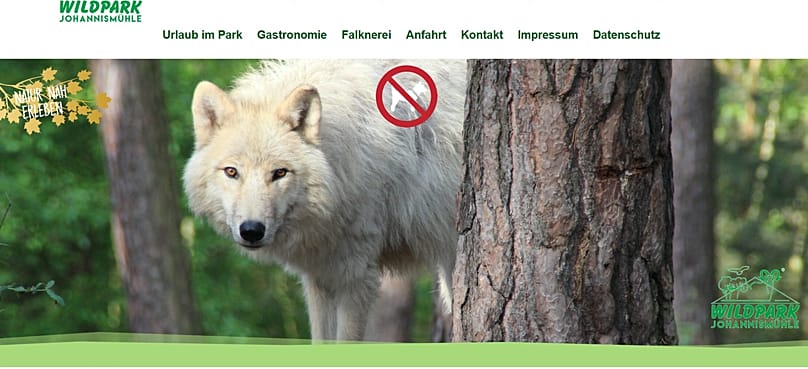 Im Wildpark in Brandenburg gibt es auch Polarwölfe