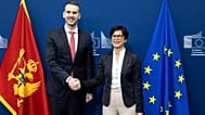 Visit of Milojko Spajić, Montenegrin Prime Minister, to the European Commission.
