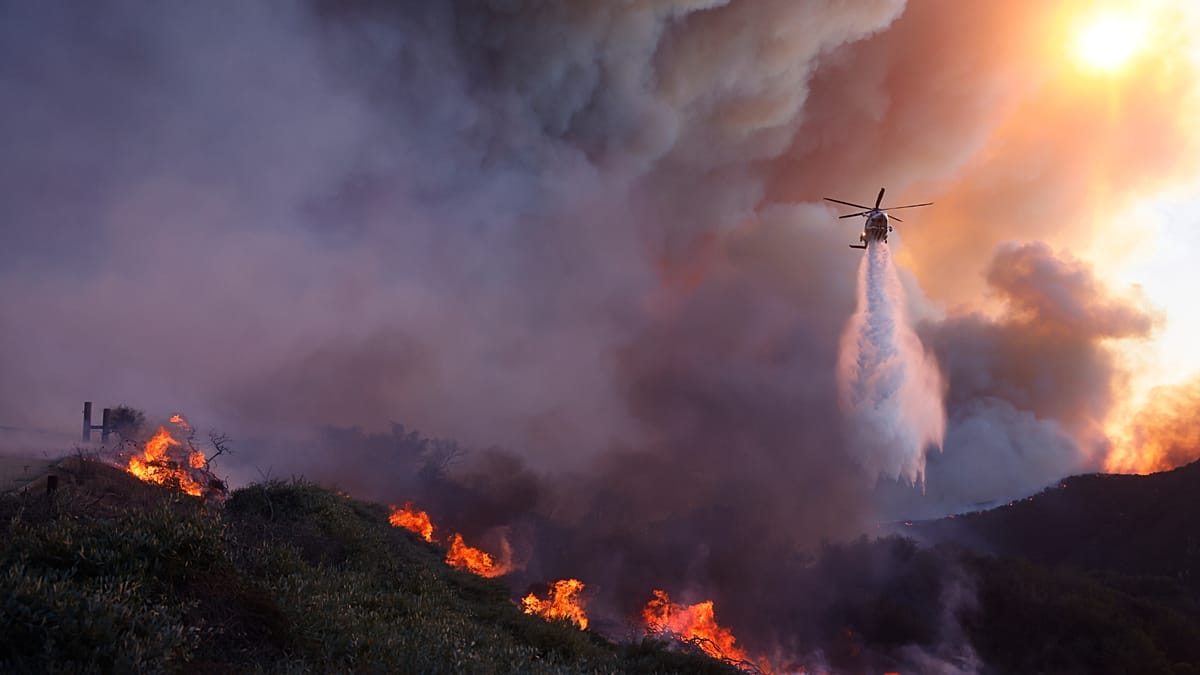 Wildfire smoke exposure during pregnancy linked to higher autism risk in children