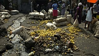 6 million in Haiti face severe hunger amid violence, displacement and El Niño