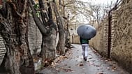 تهران تا سیمانی شدن فاصله زیادی ندارد 