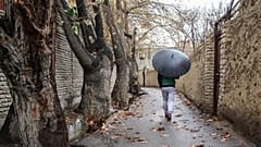 تهران تا سیمانی شدن فاصله زیادی ندارد 