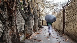 تهران تا سیمانی شدن فاصله زیادی ندارد 