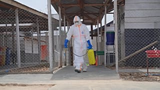 RDC : les derniers patients guéris d’Ebola célébrés à Mongbwalu