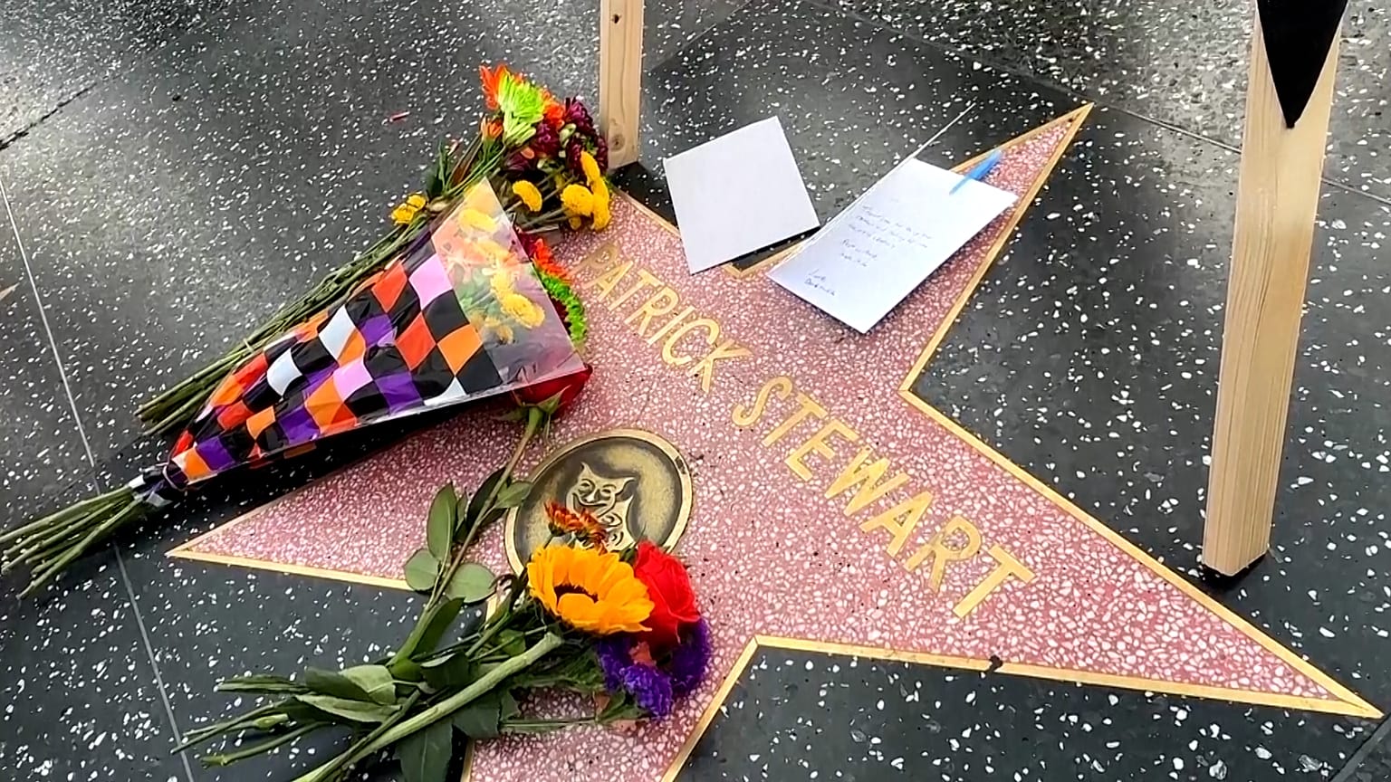 La estrella de Patrick Stewart en el Paseo de la Fama de Hollywood