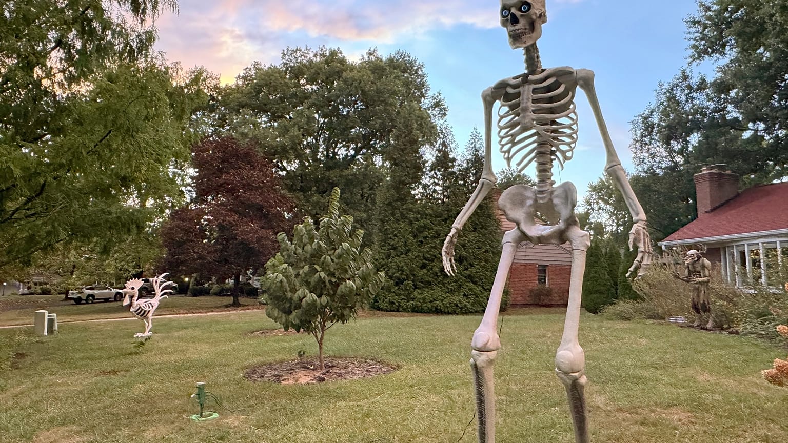 Dev iskelet Skelly