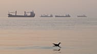 Strait of Hormuz